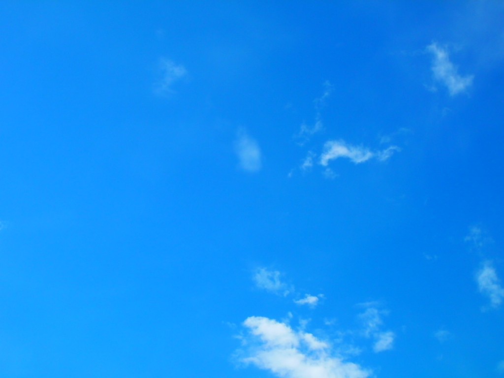 冬の空ですね　　ぽかぽか