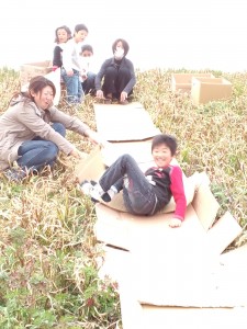 土手滑り